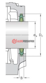 TSN510 C SKF Манжетное уплотнение — изображение 2
