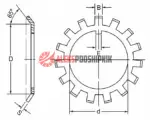 MB10 SKF Стопорная шайба — изображение 2