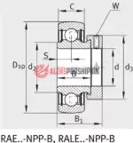 RAE35 XL NPP FA 106 INA Подшипник закрепляемый — изображение 2