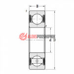 6202 2RS C3 ZWZ Подшипник шариковый однорядный — изображение 2